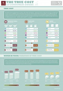 The True Cost of Consumer Goods